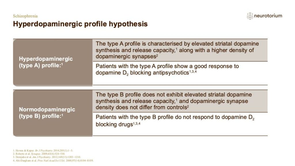 Hyperdopaminergic profile hypothesis